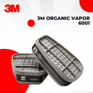 Organic Vapor 6001